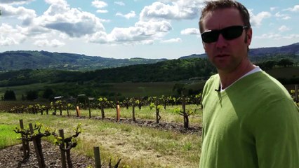 Travel Track On Sirk TV: KUNDE FAMILY WINERY [Sonoma Valley - Kenwood, California] - Part III