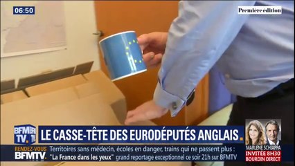 La drôle de campagne des eurodéputés britanniques qui ne siégeront (normalement) que quelques mois
