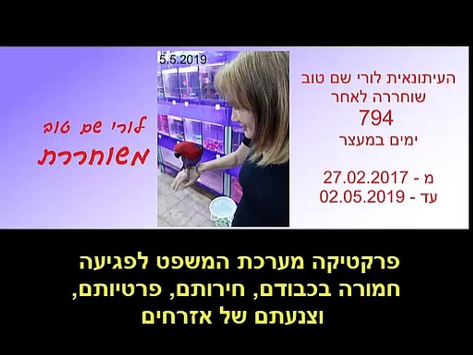 פרקטיקת מערכת המשפט בפרשת לורי שם טוב