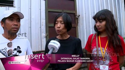 INSERT - Seekor Anjing Dibakar Hidup-Hidup, Pemilik Kecam Pelaku