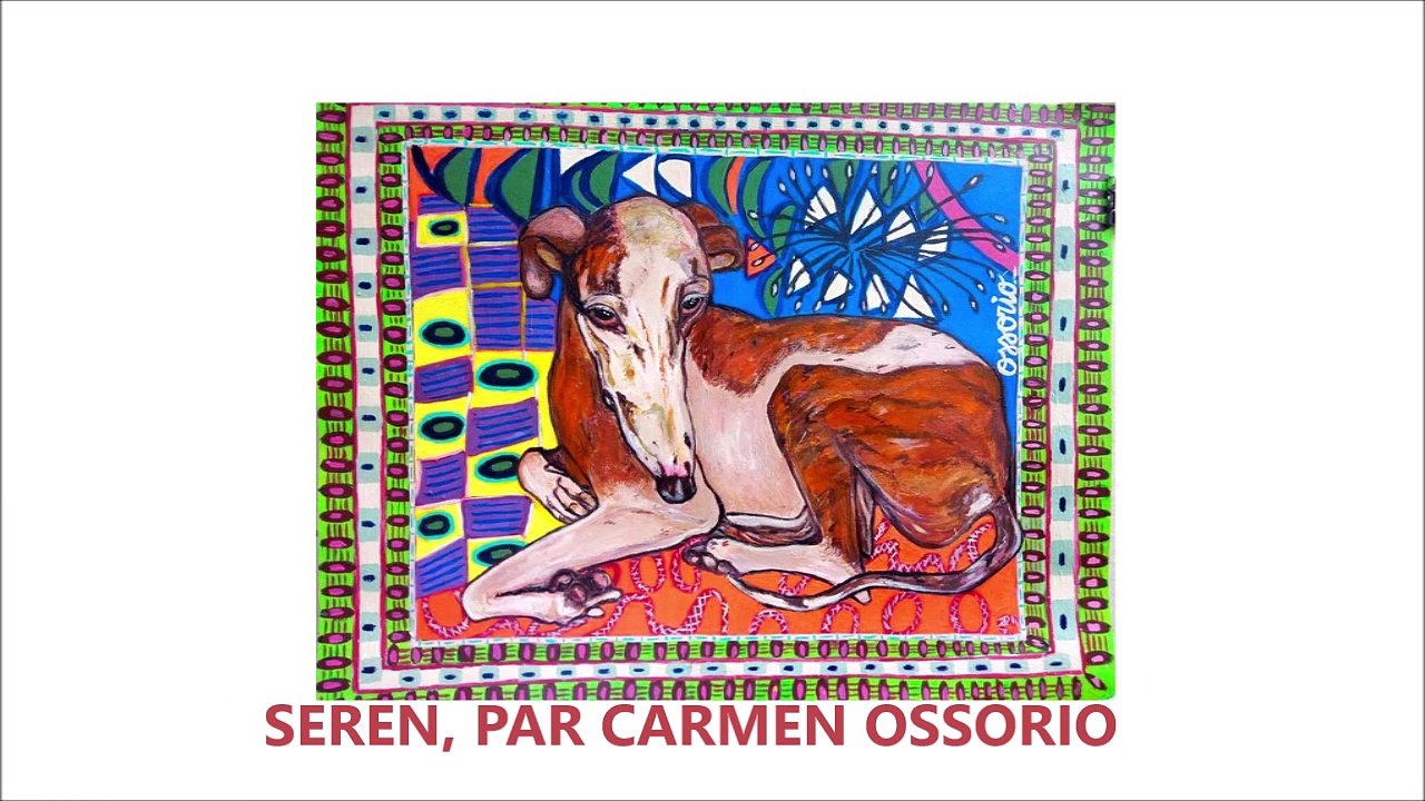 galga-seren-sauvetage-galgos112-accompagnement-galgosethiqueeurope-2019