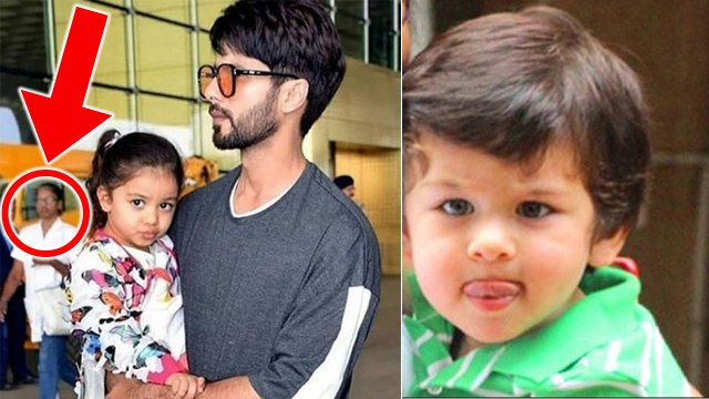 Shahid Kapoor hired Taimur Ali Khan Nanny for Zain & Misha Kapoor ? FilmiBeat