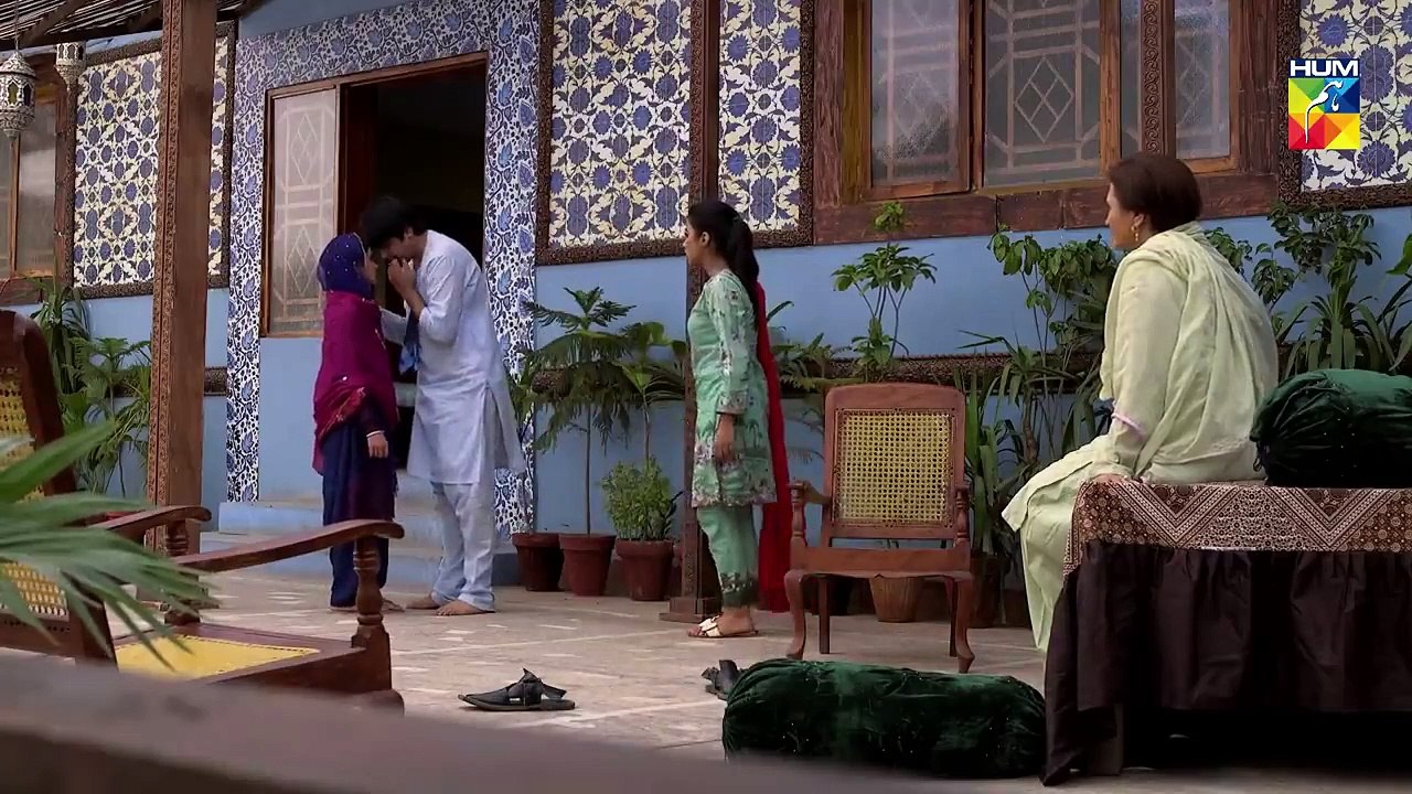 Ranjha Ranjha Kardi Episode #25 HUM TV Drama