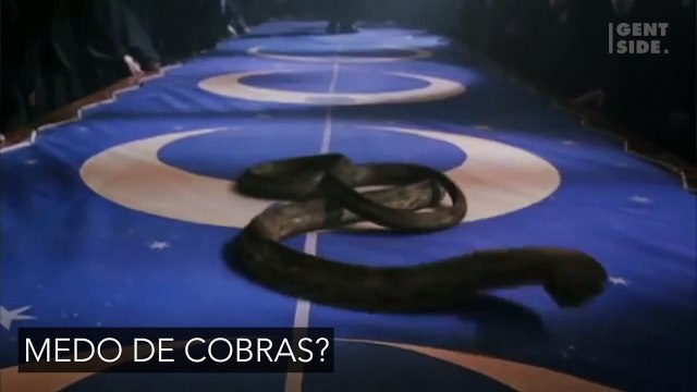 Essa mulher ficou desesperada quando se deparou com uma cobra de duas cabeças em seu quintal