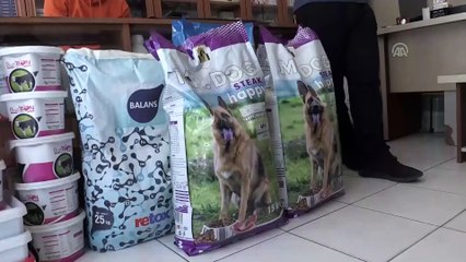 Kiraladığı araziye sokak köpekleri için barınak kurdu - YOZGAT