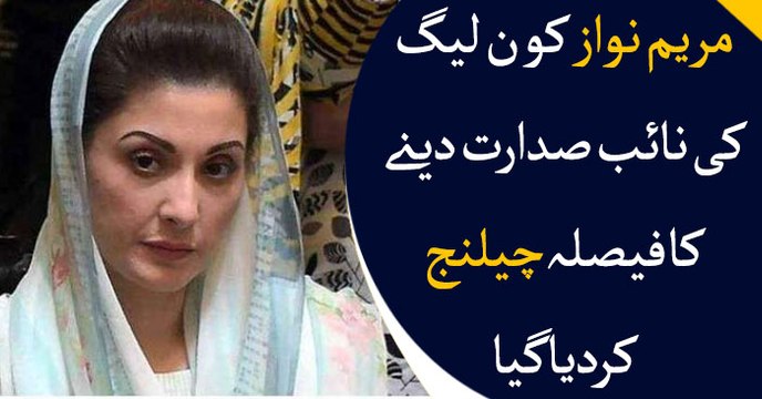 PTI challenges Maryam Nawaz's appointment as PML-N vice president