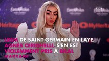 Bilal Hassani critiqué par une élue LREM, Christophe Willem s’insurge