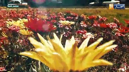 أنا إيجابي : كفى كسلا ..موضوع حلقة اليوم