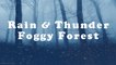 RAIN & Thunder in a Foggy Forest | 10 HOURS - 4K, Thunderstorm and Rain for Sleep