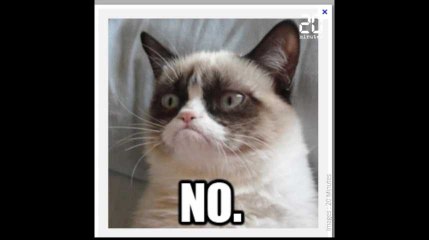 Grumpy Cat est morte