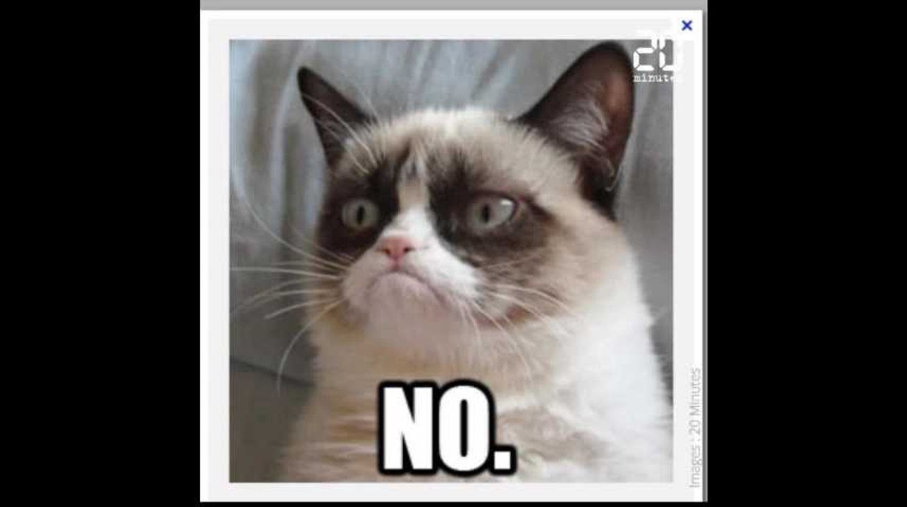 Grumpy Cat est morte