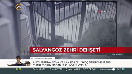 Köpekler yola dökülen zehri yedi