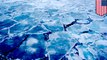 Bering Sea ice receding alarmingly: report