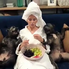 Cette femme passe un bon moment avec ses chiens. Trop cute !