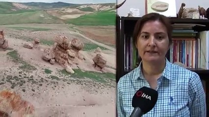 Sarıpınar köyündeki Gizemli Kayaların Sırrı Çözülüyor