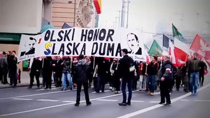 Предвыборное путешествие: польские ультраправые