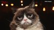 Grumpy Cat Dies, Family Says Her Spirit Will ‘Live on Through Her Fans’