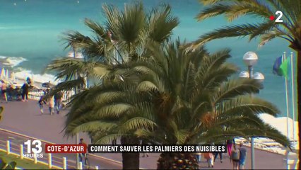 La technologie au service de la lutte contre les nuisibles