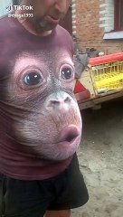 Singe en illusion d'optique sur un t-shirt