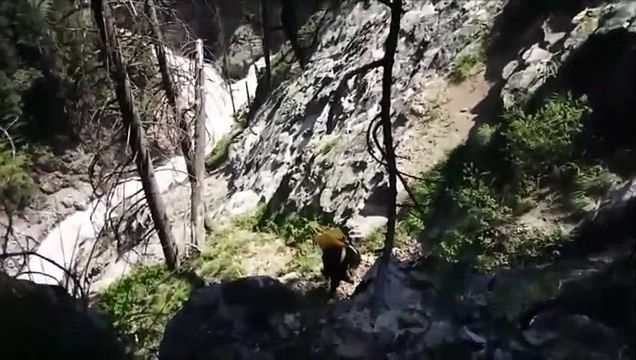 AA muhabirini arama çalışmaları sürüyor - BAYBURT