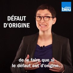 "L’Europe et vous - De la directive à l’assiette" : les droits des consommateurs