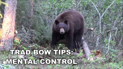 Traditional Archery Tips: How to Master the Mental Game