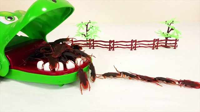 Crocodile Eats Various Insects and Toy Cockroach's Monster Feeds Him