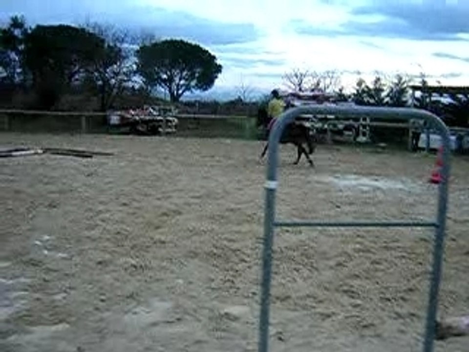 DSCN0546