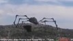 5 TIMES GIANT SPIDER CAUGHT ON CAMERA & SPOTTED IN REAL LIFE!