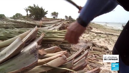 En Tunisie, la Charfiya, méthode de pêche ancestrale est en danger