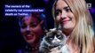 The Internet Mourns the Death of Grumpy Cat