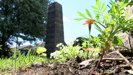 GOODLINES: 18th May 2019