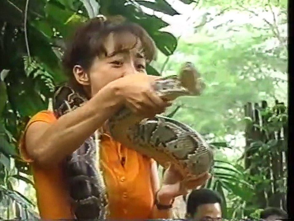 snake