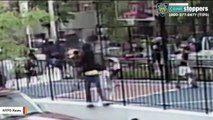 Shocking Video Shows Suspects Firing Into Crowded Bronx Playground