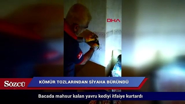 Bacada mahsur kalan yavru kediyi itfaiye kurtardı