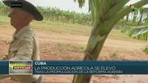 Campesinos cubanos dan cuenta de los beneficios de la reforma agraria