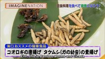 [Eng sub] When Takayama Kazumi being forced to eat Bamboo Worms & Cicada