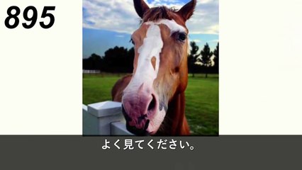 【衝撃】あなたの脳力が分かるイラスト１０選