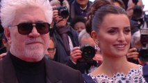 P. Almodóvar, P. Cruz, A. Banderas et l'équipe de Douleur et Gloire sur le tapis rouge  -Cannes 2019