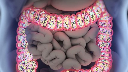 6 Seemingly Healthy Things That Can Mess With Your Gut