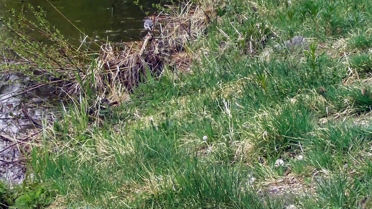 May 2 2019 F3