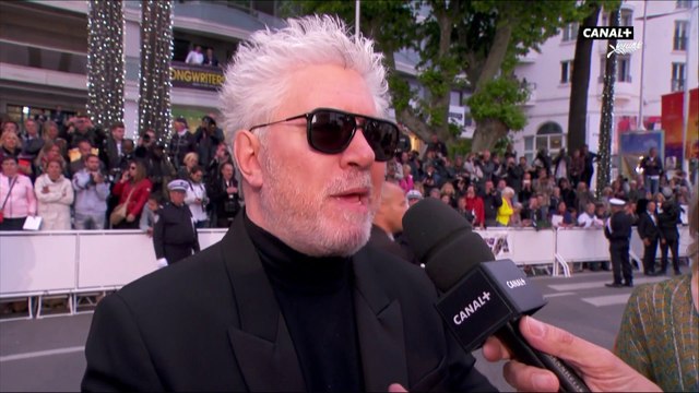 Pedro Almodóvar Cannes, c'est le public le plus chaleureux que je connaisse - Cannes 2019