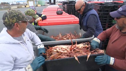 Permis de pêche du Nouveau-Brunswick vendus à l’étranger