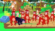 Le Livre de la Jungle   Le Petit Chaperon Rouge - 2 dessins animés pour enfants - 18 minutes