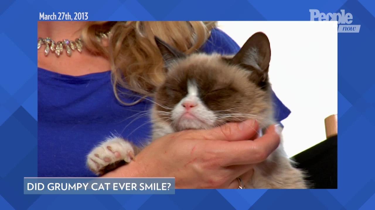 Can Grumpy Cat Smile?