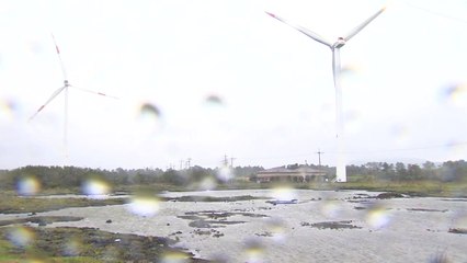 [날씨] 충청 이남 비...남해안·제주 100mm↑폭우 / YTN