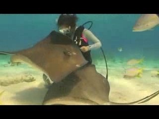 Cayman Aggressor Liveaboard