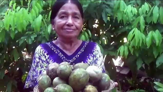 Village des Aliments - Cuisson Trempé de Porc Prune Curry dans mon Village par Maman
