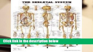 About For Books  Anatomical Chart The Skeletal System  For Kindle
