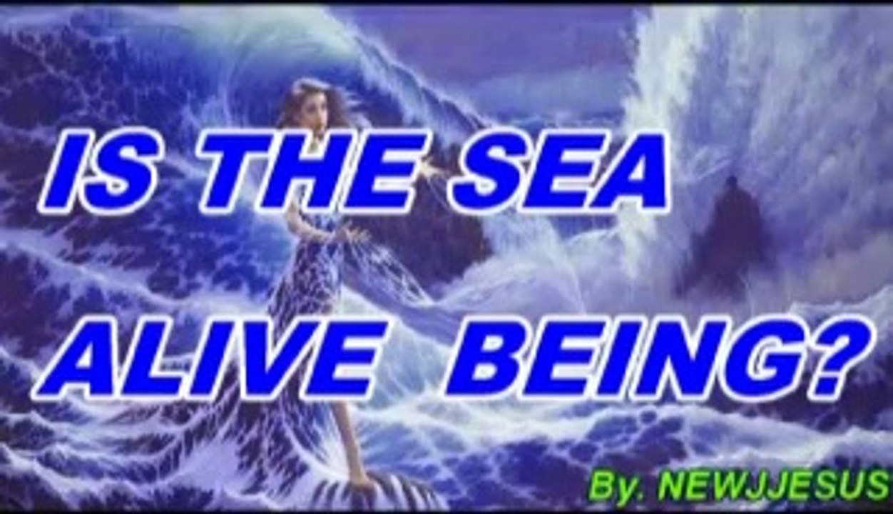 ¿IS THE SEA ALIVE BEING
